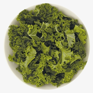 4 Ounce - Sphere #8554837