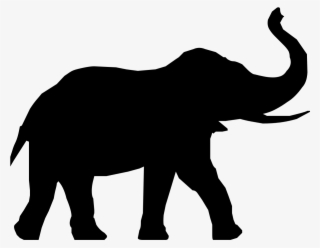 Spay And Neuter Certificates - Shadow Of Animals #8555802