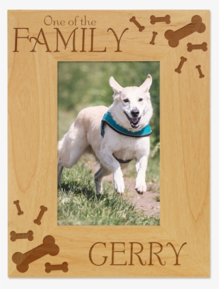 One Of The Family Picture Frame From Giftsin24 - Meaning Of Barking Dogs Seldom Bite #8556111