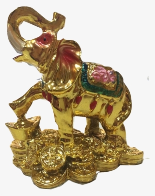 Feng - Working Animal #8556202