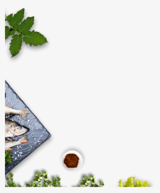 Best Non Veg Restaurants In Malleshwaram - Maple Leaf #8556616