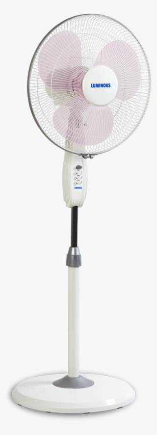 Buy 400 Mm Mojo Plus Pedestal Fan Burgundy Online At - Mechanical Fan #8557710