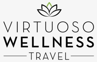 Virwellness Final Logo Mar2017 - Graphics #8558204