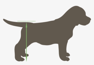 Depending On Your Pet's Current Capabilities And Its - Puppy Vector #8558813