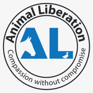 What You Can Do - Wharf House Restaurant #8559023