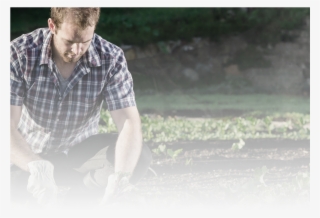 Gardening Gloves/a A Safety Products - Planting And Harvesting #8559118