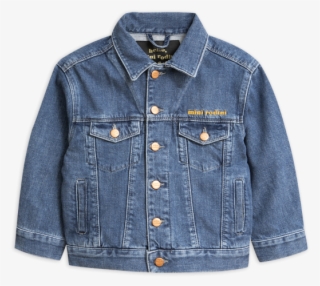 Jean Jacket #8560213