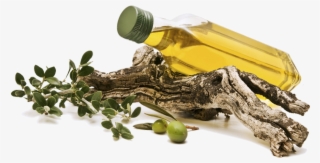 Olive Png #8561776 Olive Png #8561776