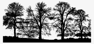 Big Image - Sunset #8562953