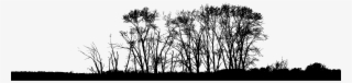 Big Image - Monochrome #8563251