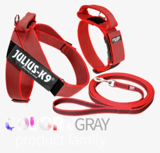 Idc® Color&gray Leash - Julius K9 Belt Sele #8563256