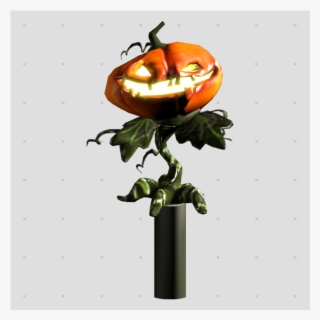 Quick Overview - Pumpkin #8566054