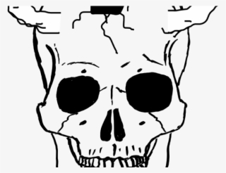 Skeleton Head Clipart Skelleton - Cara De Esqueleto Dibujo #8566328
