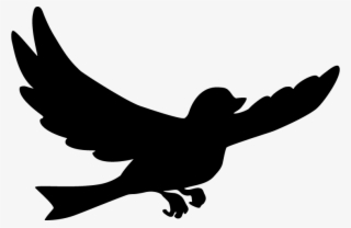 Bird Of Prey #8566600