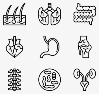 Human Organs - Consumer Behavior Icon #8567912