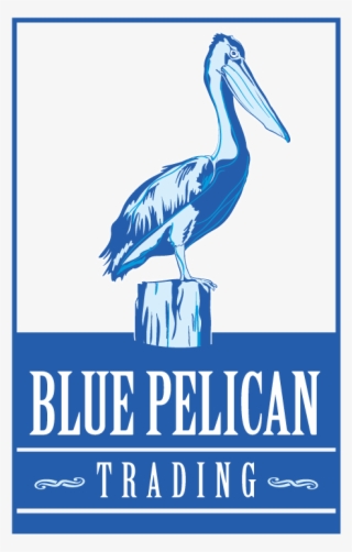 Pelicans Logo Transparent - Very Best Of Anthem #8568090