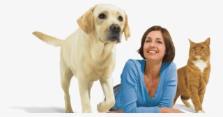 Dog Cat And Woman On White - Labrador Retriever #8568113