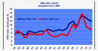 Is Corn Still A Viable Feeding Option - Cattle Market Trends Graph #8569461