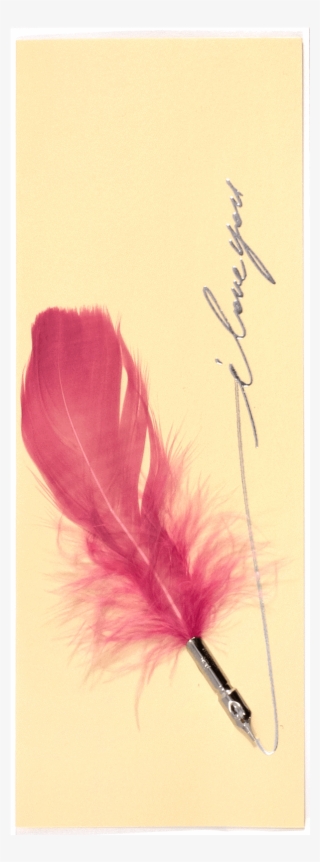 Feather Pen Love #8569496