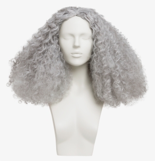 Female Wigs - Lace Wig #8569837