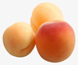 Apricots - Apricot Png #8570955