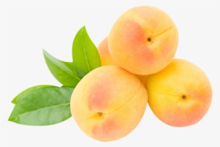 Peach Nutrient Fruit Food Apricots Transprent Produce - Nectarines #8571270