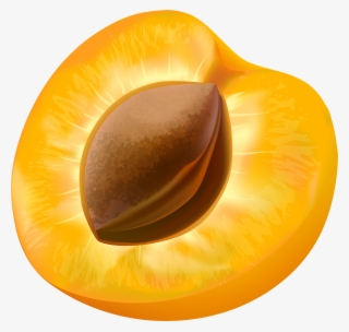 Half Apricot Transparent Image - Illustration Abricot #8571427