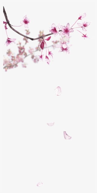 Parfum Pas Cher, Coffret Parfum, Parfumerie En Ligne - Cherry Blossom Watercolor #8572260