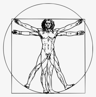 Vitruvian Man #8572985