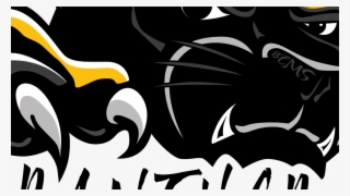 Black Panther Stream Transparent Background - Lake County Panthers Logo #8573583