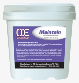 Chronic Gastric Support - Animal #8574514