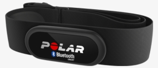 Polar H6 - Belt #8574567