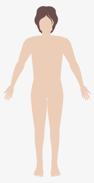 Human Body - Illustration #8575046