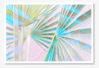 Neon Light Palms ~ N° - Ferris Wheel #8575152