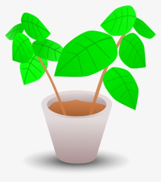 Jpg Transparent Big Image Png - Pot Plant Clip Art #8575285