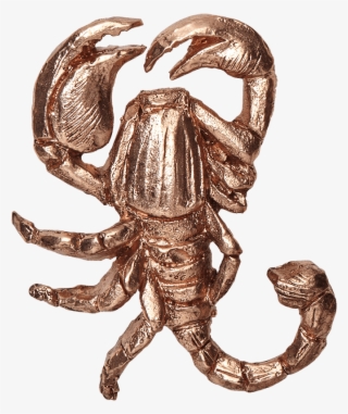 Fw18 - Scorpion #8575425