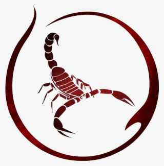 Privacy Overview - Scorpio Bash #8575681 Privacy Overview - Scorpio Bash #8575681