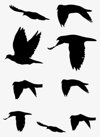Flying Doves Decal Pack - Flock #8575903