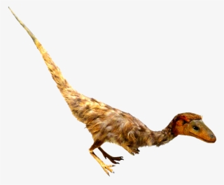 Feathered Dinosaur Clipart - Velociraptor #8576055