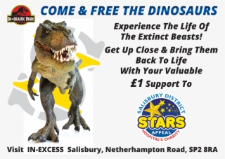 Stars Appeal #8576580