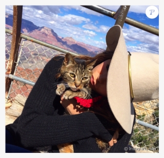 Nina Dobrev Pleure La Mort De Son Chat Sur Instagram, - Nina Dobrev Cat #8576736