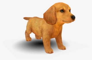 Download Zip Archive - Nintendogs Cats Dachshund #8581725