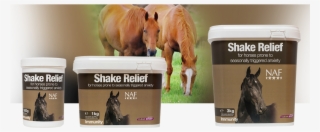 Nutritional Support For Horses Showing Signs Of Seasonal - Sorrel #8581728