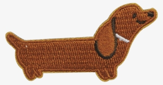 Dachshund #8581869
