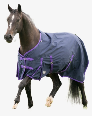 Gallop #8582139 Gallop #8582139