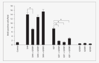 Shh-induced Proliferation Is Specifically Inhibited - Diagram #8582175
