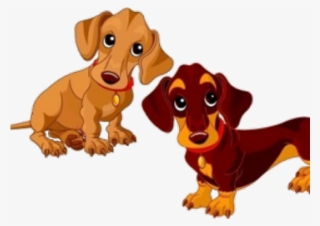 Dachshunds Vector #8582176