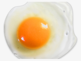 Fried Egg #8583086
