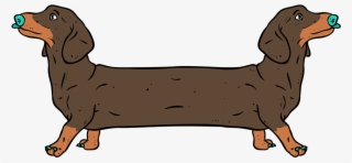 Save To Collection - Dachshund #8583120