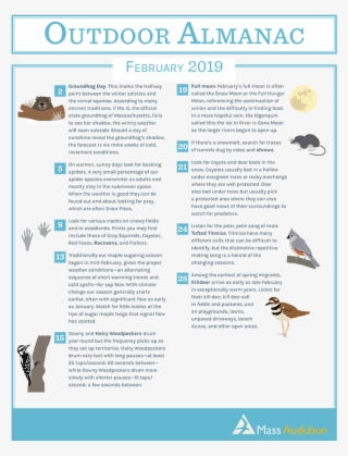 0 Replies 2 Retweets 2 Likes - Brochure #8583769